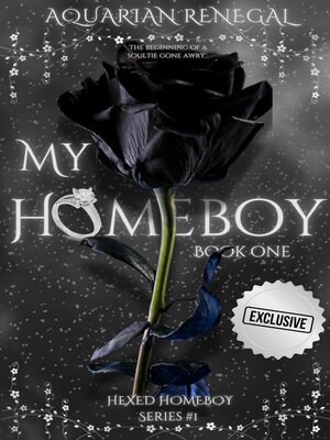 cover image of MY HOMEBOY Book one
